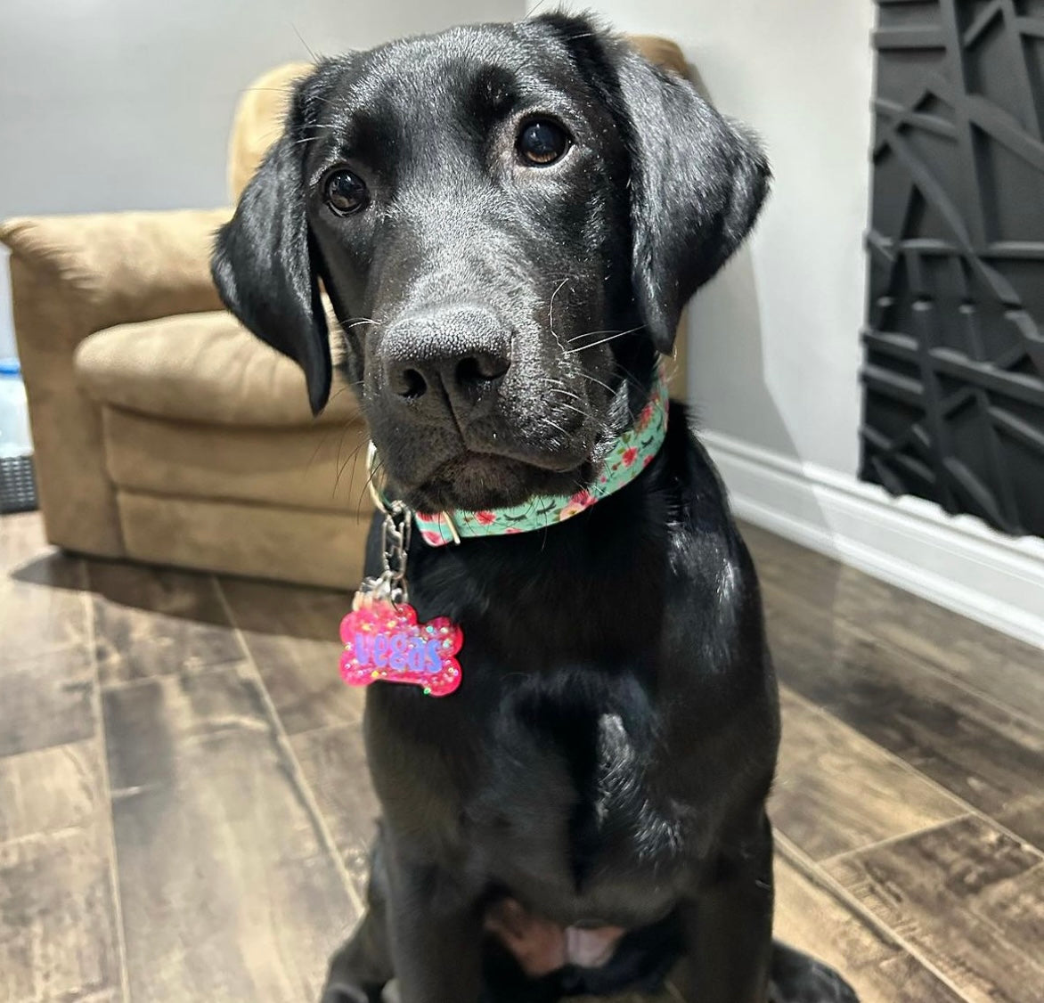 Watermelon Sugar Tag