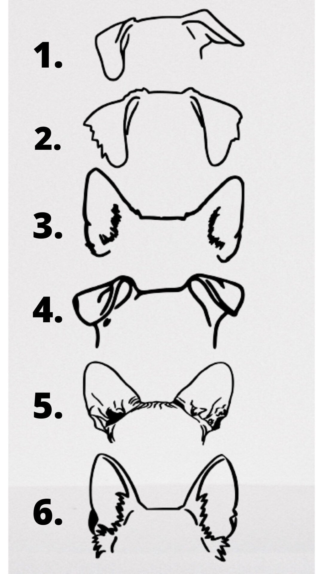 I’m All Ears Tag