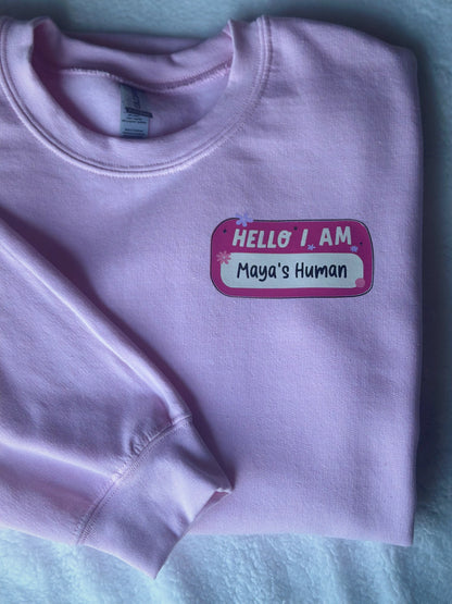 Hello I am Sweater
