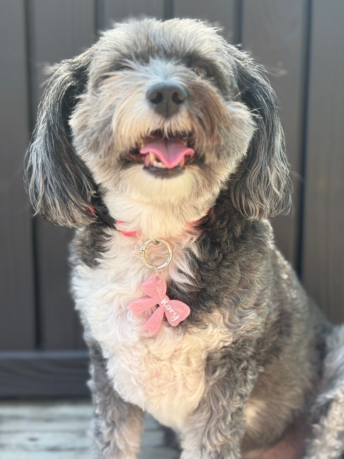Festive Bow Tag