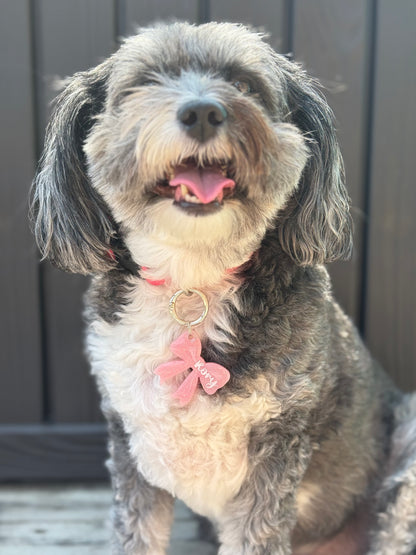 Festive Bow Tag