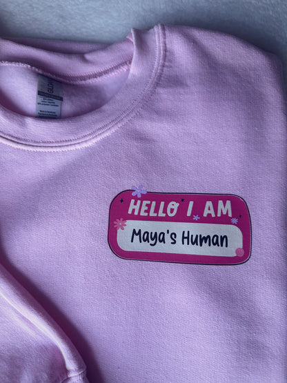 Hello I am Sweater