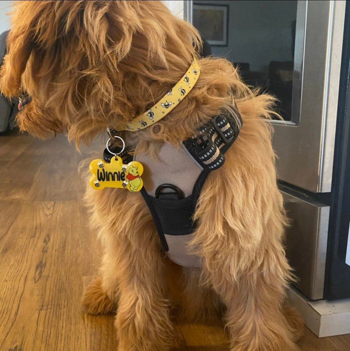Honey Tag